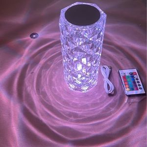 Spain Rgh touching control Rose  lamp diamond table USB LED bedroom Night